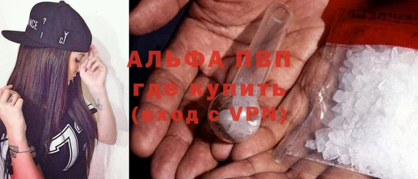 хмурый Абаза