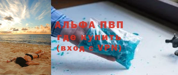 хмурый Абаза