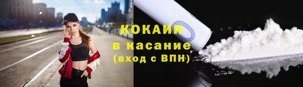 хмурый Абаза