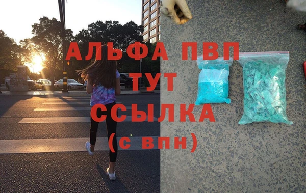хмурый Абаза
