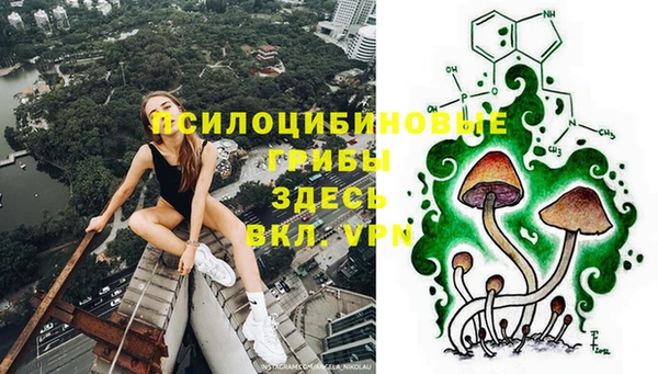 хмурый Абаза
