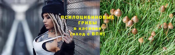 прущая мука Ростов