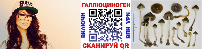 blacksprut ссылки  наркотики  Алагир  Галлюциногенные грибы Psilocybe 